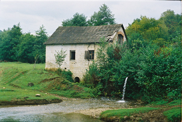 40