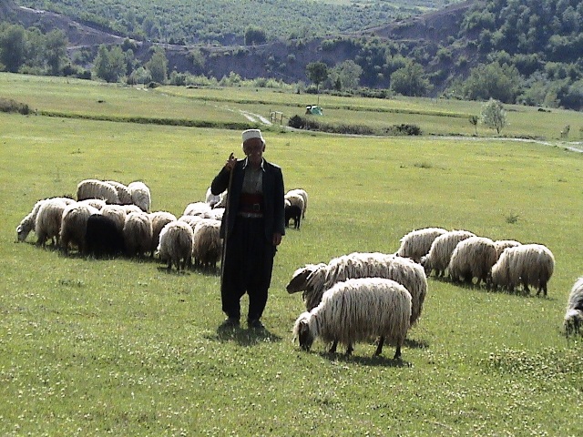 albania2