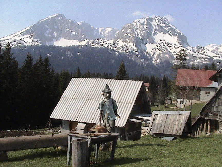 DSC00445