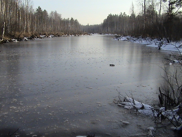 DSC00075